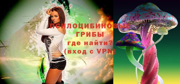мяу мяу мука Абаза