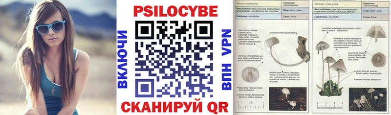 Галлюциногенные грибы мицелий  цены   Тюмень 